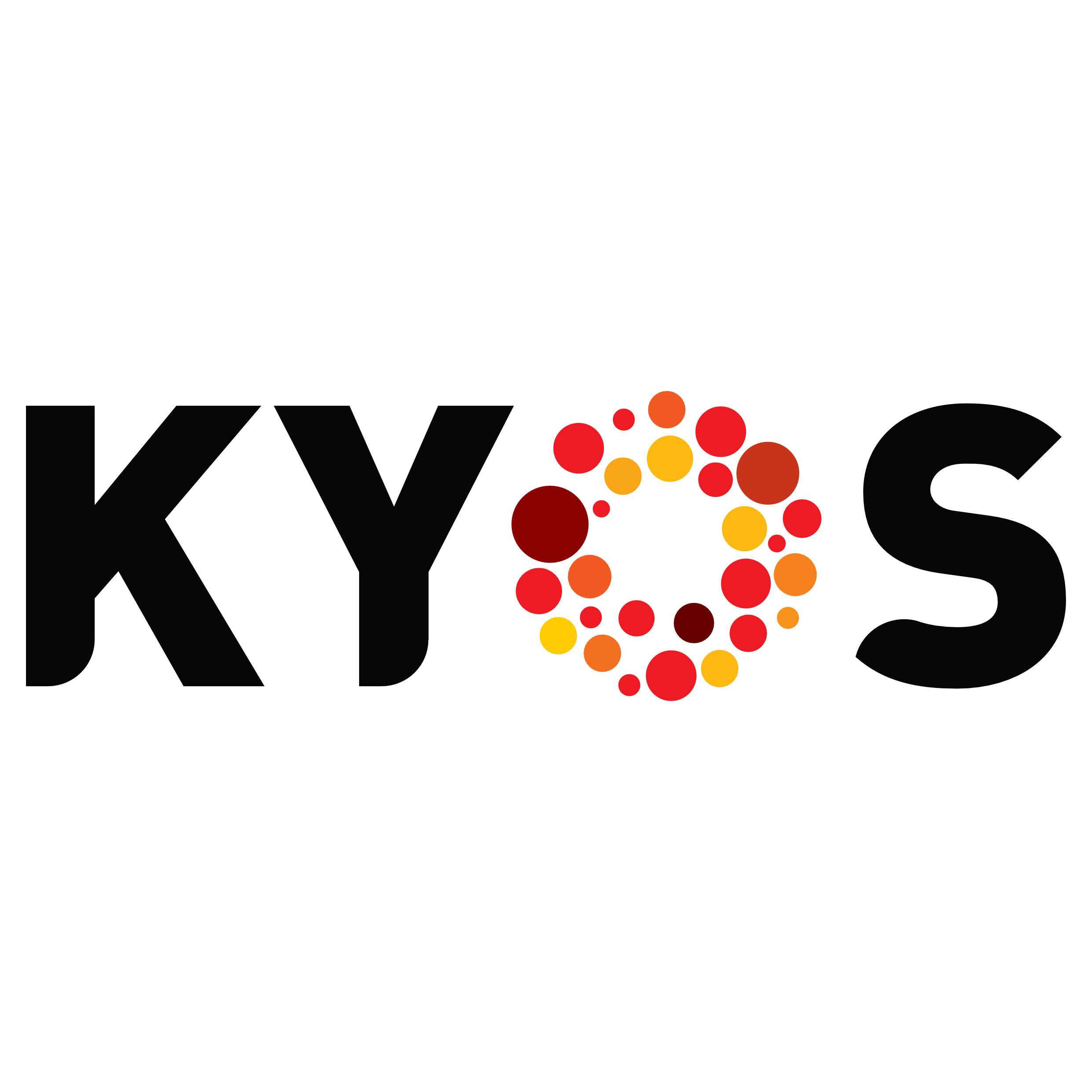 The Company Logo